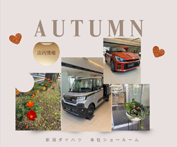 秋の店内ご紹介🍁